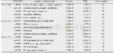 表5 茉莉花转录组中显著KEGG富集通路