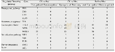 表6 茉莉花转录组中开花调控相关基因的表达模式
