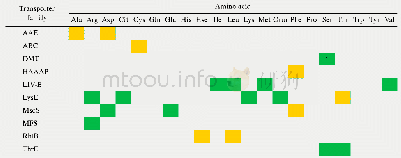 表1 谷氨酸棒杆菌中的氨基酸分泌转运蛋白家族