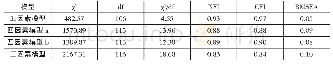 《表1 验证性因素分析结果》