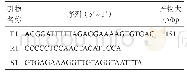 表1 甲基化修饰后的PCR和焦磷酸测序引物序列