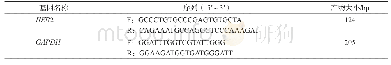 表2 实时荧光定量PCR引物序列