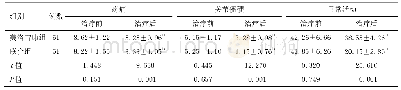 表4 两组患者治疗后关节功能比较