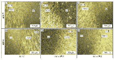 图5 焊接接头的显微组织Fig.5 Microstructure of welded joints