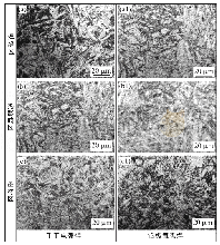 图1 不同焊接方法下P92钢焊接接头的显微组织Fig.1 Microstructures of P92 steel welded joint under different welding methods