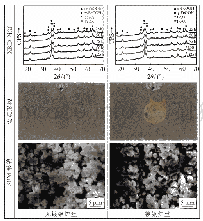 图5 表面锈层XRD图谱及SEM形貌（125 h)