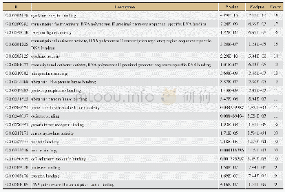 表2 益肾养髓方治疗SCI的GO功能富集分析