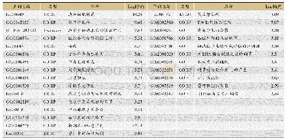 表4 显著性富集的冠心病血瘀证差异m RNA通路