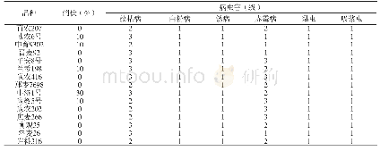 表3 参试小麦品种抗逆性观察