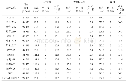 表2 参试玉米主要生育时期个体生长情况