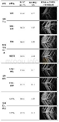 表2 不同参数对应的裂缝封堵层细观力链网络结构