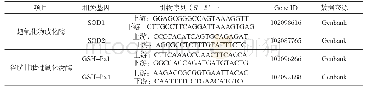 表1 目标基因及实时荧光定量PCR引物信息（RT-qPCR)