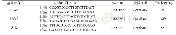 表1 目标基因及其引物信息