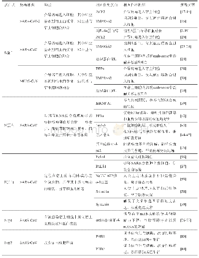 表2 冠状病毒与宿主间的蛋白质相互作用