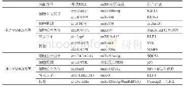 表2 环状RNA调控血管平滑肌细胞表型重塑的作用机制