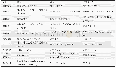 表1 细胞凋亡、细胞焦亡和坏死性凋亡比较表