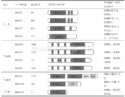 表1 人源组蛋白去乙酰化酶的基本结构性质介绍