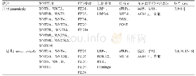 表1 WNT配体、受体、拮抗剂及造血组织中的表达