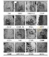 表0 2 抱鼓石纹饰：绣衣坊装饰纹样特点