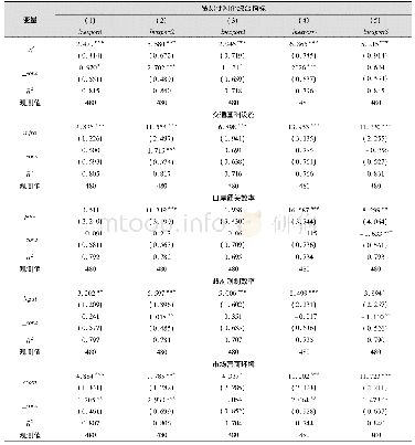 表6 基于不同产品类型视角的检验结果