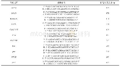 表1 引物序列与扩增产物长度