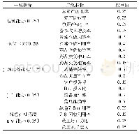 表1 二级指标权重值分配表