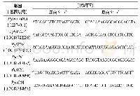 表1 相关基因特异性引物序列