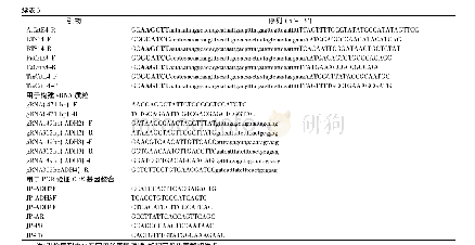 表3 本研究所用到的引物