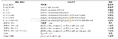 表1 本文使用的菌株和质粒