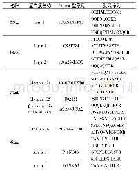 表1 核桃、杏仁、大豆和花生的特征肽段