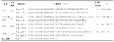 《表2 加尾引物及多重实时PCR溶解曲线Tm值+》