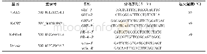 表2 无核白葡萄抗病酶相关基因引物序列