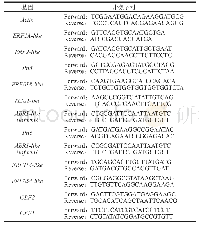 表1 实时荧光RT-qPCR扩增目的基因的引物序列