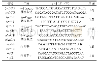 表1 RT-qPCR所用引物