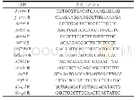 表1 qPCR引物序列：桑叶生物碱粗提物对D-半乳糖诱导的小鼠蛋白氧化损伤的改善作用