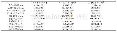 《表2 三种居群金钗石斛茎的显微结构特征比较分析》