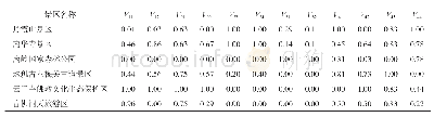 表5 韶关市典型景区旅游用地集约利用评价指标标准化数据