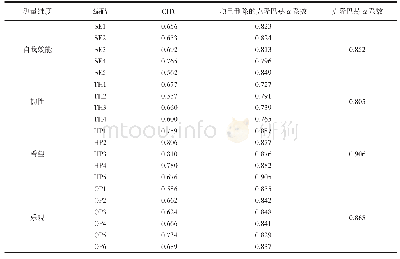 表3 积极心理资本CITC及信度分析