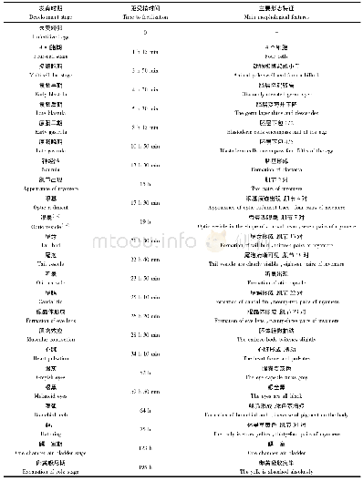 表1 稀有鮈鲫发育时序及主要形态特征[13]