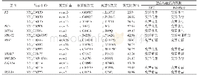 表2 全外显子测序部分结果