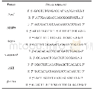 表1 引物序列：dl-3-正丁基苯酞对脑损伤大鼠的神经保护作用的实验研究