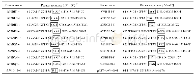 表1 定点突变体的PCR引物
