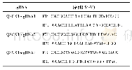 表1 QSOX1-sgRNA寡核苷酸序列