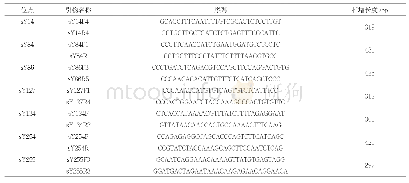 表1 STS引物列表：快速检测Y染色体微缺失方法的建立