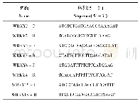 《表1 PCR扩增引物：白桦4个WRKY基因的克隆及序列分析》