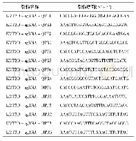 表1 KMT2D sgRNA序列