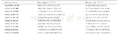 《表1 引物设计：转基因ABP9玉米株系的耐盐性分析》