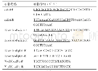 表1 引物及序列：基于退火缓冲液的SLiCE无缝克隆方法的改良