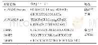 表1 所用引物：中间锦鸡儿CiNAC038启动子的克隆及对激素响应分析