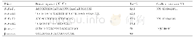 表1 引物序列及长度：牦牛FAF1基因的分子特征及其在不同阶段卵巢、输卵管、子宫中的表达